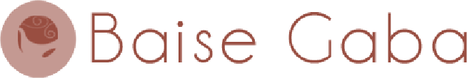 Baise Gaba Int. logo