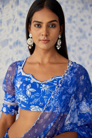 Darpan Organza Saree