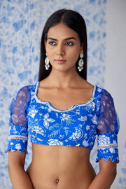 Darpan Organza Saree