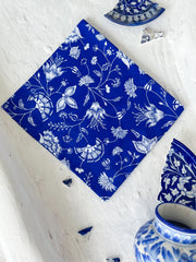 Darpan Organza Saree