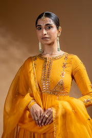 SUVARNIKA ANARKALI SET OF 3