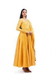 LIORA ANARKALI SET OF 3
