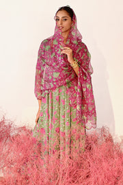 Haana Anarkali set