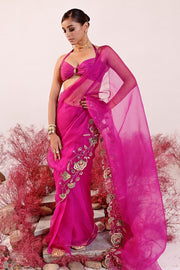 Dastaan Saree with Blouse