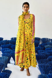 Aita Anarkali Set Of 3 °